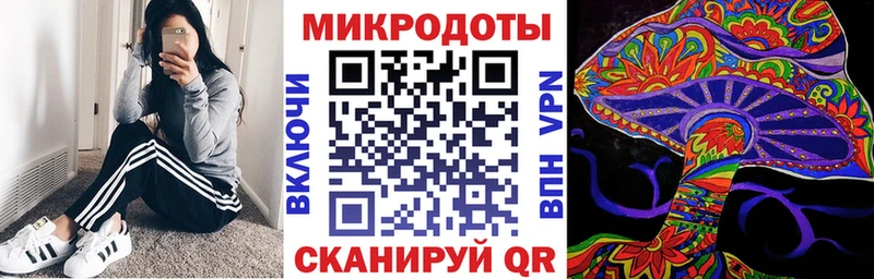 купить наркотики цена  Салехард  Псилоцибиновые грибы Cubensis 